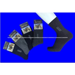 Витязь носки мужские внутри махра верблюжья шерсть арт. F8-09