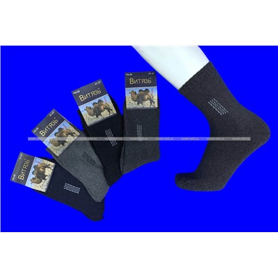 Витязь носки мужские внутри махра верблюжья шерсть арт. F8-09