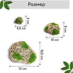 Мох искусственный, для декора, «Камни с мелкой каменной крошкой», набор 6 шт., бежевый, Greengo