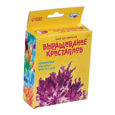 УЦЕНКА Набор для творчества "Лучистые кристаллы", цвет фиолетовый