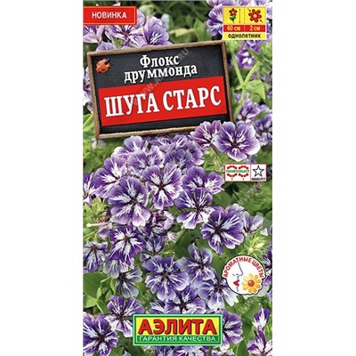 Флокс Шуга старс (Код: 89563)