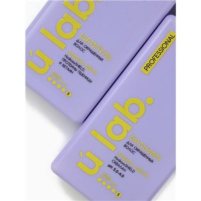 Подарочный набор «Защита цвета»: шампунь 250 мл, бальзам 250 мл, Ural Lab