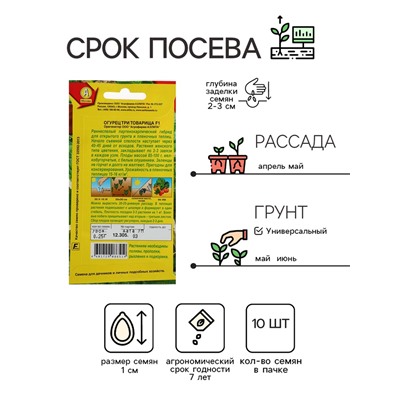 Семена Огурец "Три товарища" F1, раннеспелый, партенокарпический, 10 шт.