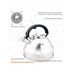 ZEIDAN Чайник Z-4173