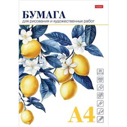 Папка для рисования А4 20л "Ветка лимона" 220г/м2 (090296) 33457 Хатбер