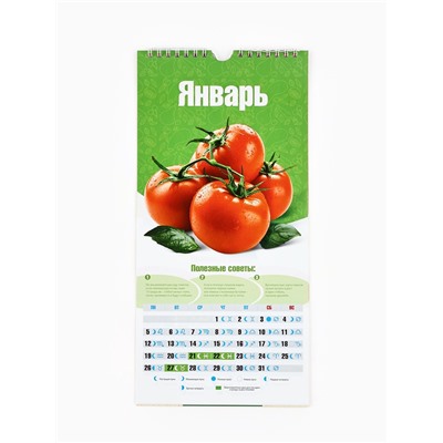 Календарь 2026 на ригеле «Садово-огородный» 16.5×34 см