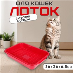 Туалет средний с сеткой 36×26×6.5 см, бордовый