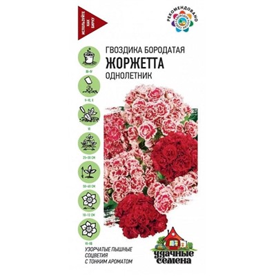 Гвоздика Турецкая Жоржетта УС (Код: 92727)