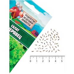 Семена Салат «Кучерявец Одесский», 0.5 г, «Рецепты дедушки Никиты»