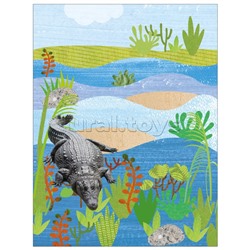 Фотонаклейки. В Африке