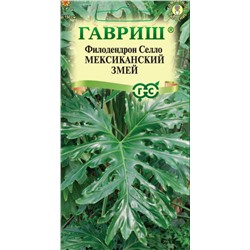 Филодендрон Селло Мексиканский Змей