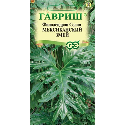 Филодендрон Селло Мексиканский Змей