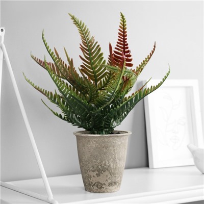 Искусственный цветок в горшке «Нефролепис премиум», 24×8.5 см, МИКС