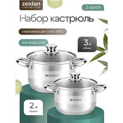 ZEIDAN Набор Z-50405