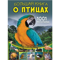 АСТ Папуниди Е.А. "Большая книга о птицах. 1001 фотография"