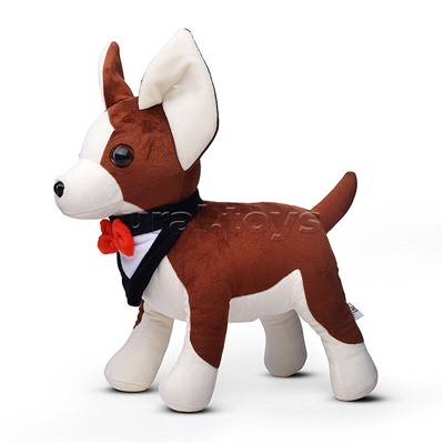 Чихуахуа Лорд тёмно коричневый В30