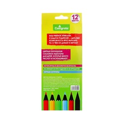 Карандаши Calligrata цветные заточенные, 12 цветов, в картонной коробке