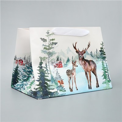 Пакет подарочный новогодний с широким дном «Чудесного Нового года», 25×19×18 см