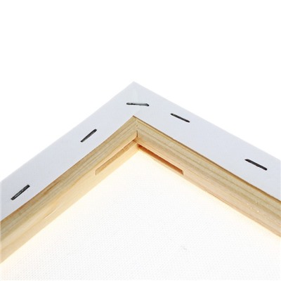 Холст на подрамнике, хлопок 100%, 1.6×50×70 см, Calligrata, акриловый грунт, среднезернистый, 380 г/м²