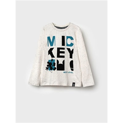 Фуфайка трикотажная для мальчиков (футболка с длинными рукавами)