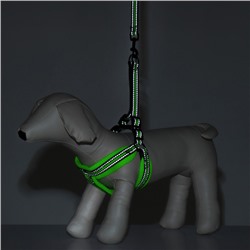 Комплект амуниции светоотражающий с мягкой шлейкой и мягкой ручкой, 1.5×120 см, ОШ 35-53, жёлтый