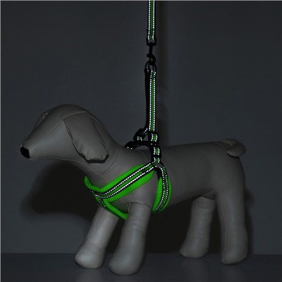 Комплект амуниции светоотражающий с мягкой шлейкой и мягкой ручкой, 1.5×120 см, ОШ 35-53, жёлтый