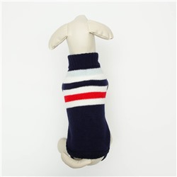 Свитер, размер 10 (ДС 30-45, ОШ 16-31, ОГ 30-45 см), микс расцветок