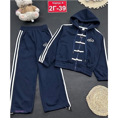 костюм с начесом 2054480-1