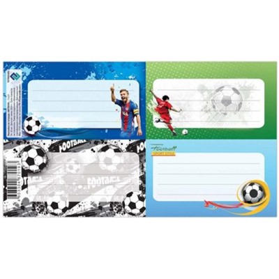 Наклейки  110х170 мм для подписи на тетрадь "Футбол" НакТ79 Гранит