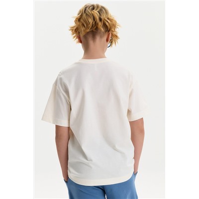 Футболка для мальчиков PELICAN, 1241603