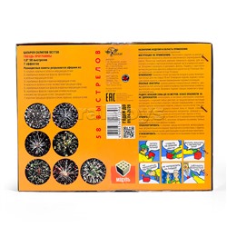 Батарея салютов "Гвоздь программы" (1" х 58 залп.) в кор. 2 шт.