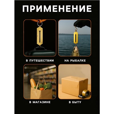 Весы-безмен Luazon LV-505, электронные, до 50 кг, точность до 10 г, подсветка, чёрные