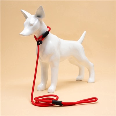 Ринговка для собак, 130×0.8 см, красная