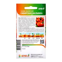 Семена Тыква, «Сибирская малышка», 3 шт., «Агрос»
