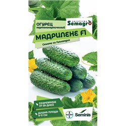 8051N Огурец Мадрилене F1 5шт