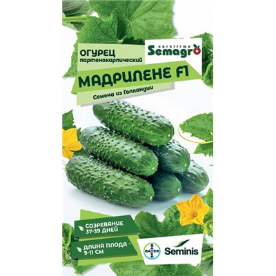 8051N Огурец Мадрилене F1 5шт