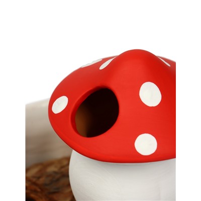 Автополив для комнатных растений «Грибочек», 16.5×7 см, керамика, набор 4 шт., МИКС