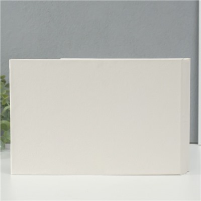 Фотоальбом на 100 фото кожзам 10×15 см «Ромашковый чай», в коробке, 4×26×18 см