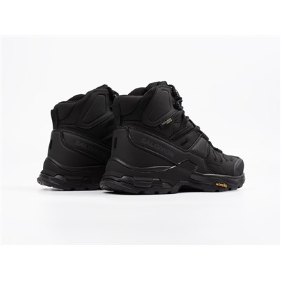 Зимние Ботинки Salomon Quest 4 GTX