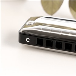 Губная гармошка Music Life T002 C диатоническая, 10 отверстий, с футляром