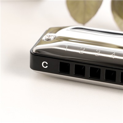 Губная гармошка Music Life T002 C диатоническая, 10 отверстий, с футляром