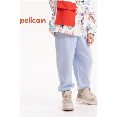 Брюки PELICAN, 1104300