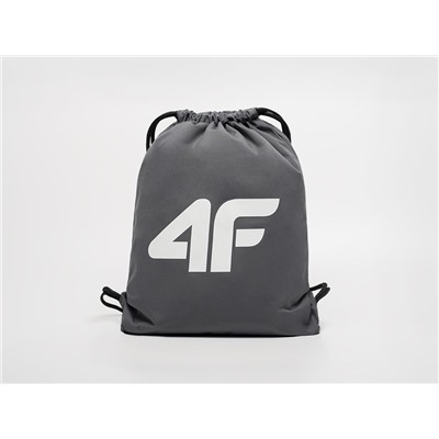 Сумка для обуви 4F