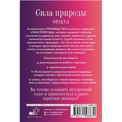 АСТ Стивен Д. Фармер "Сила природы. Оракул. 44 карты и руководство. Таро, гадания и знаки"