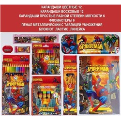 Набор для творчества паук 41 пр.  44х30см