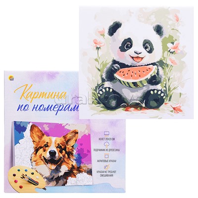 Холст с красками 20х20 по номерам "Пандочка с арбузом" в коробке (16цв.)
