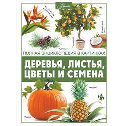 АСТ Спектор А.А. "Деревья, листья, цветы и семена"