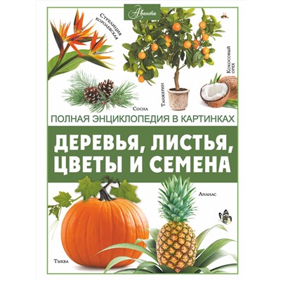 АСТ Спектор А.А. "Деревья, листья, цветы и семена"