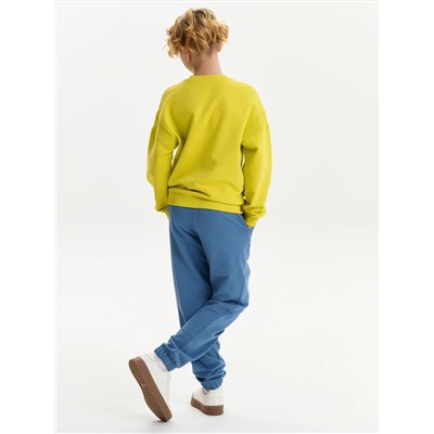 PELICAN Толстовка BFN3387U