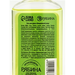 Подарочный набор новогодний «Снеговичок», гель для душа 100 мл и мист для тела, URAL LAB